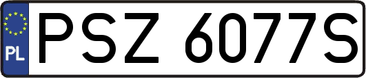PSZ6077S