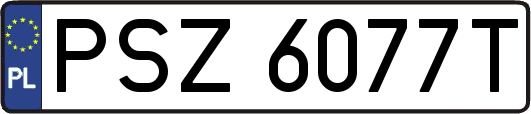 PSZ6077T