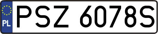 PSZ6078S