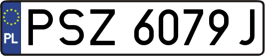 PSZ6079J