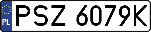 PSZ6079K