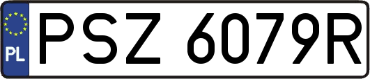 PSZ6079R