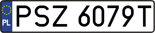 PSZ6079T