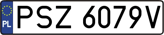 PSZ6079V