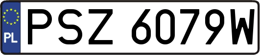 PSZ6079W