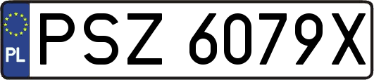 PSZ6079X