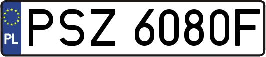 PSZ6080F