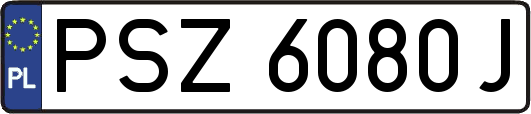 PSZ6080J