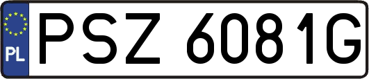 PSZ6081G
