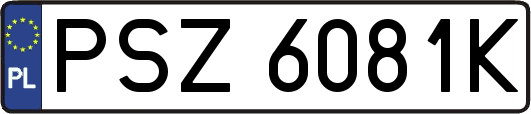 PSZ6081K