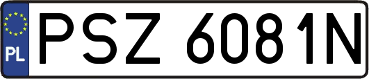 PSZ6081N