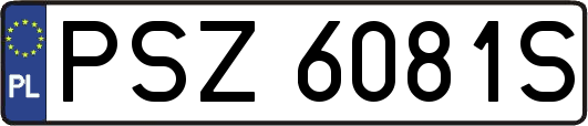 PSZ6081S