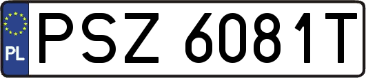 PSZ6081T