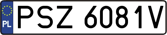 PSZ6081V