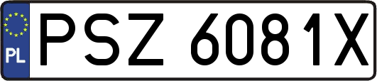 PSZ6081X