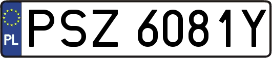 PSZ6081Y