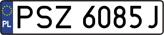 PSZ6085J