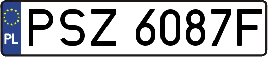 PSZ6087F