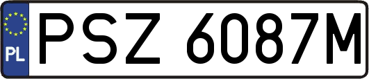 PSZ6087M