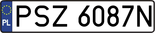 PSZ6087N