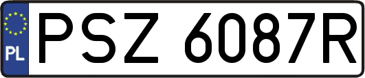 PSZ6087R