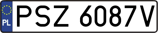 PSZ6087V
