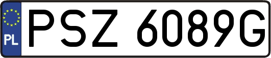 PSZ6089G