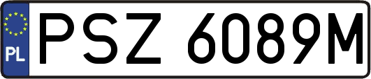 PSZ6089M