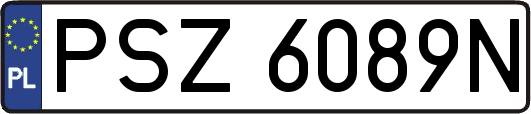 PSZ6089N