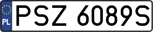 PSZ6089S