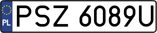 PSZ6089U