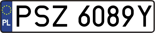 PSZ6089Y