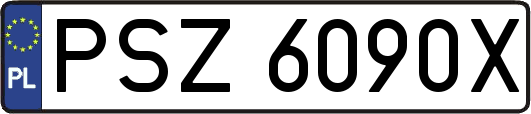 PSZ6090X