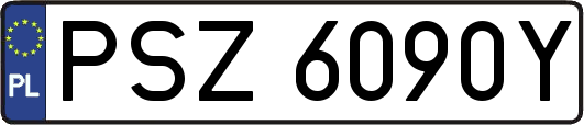 PSZ6090Y