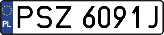 PSZ6091J
