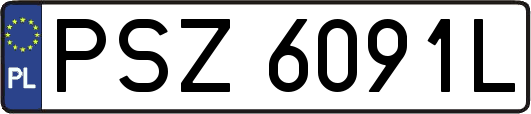 PSZ6091L