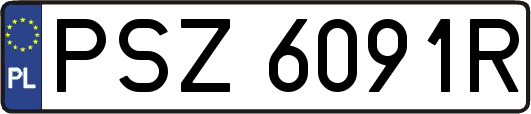 PSZ6091R