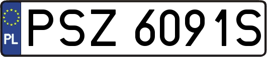 PSZ6091S