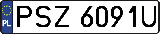PSZ6091U