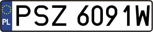 PSZ6091W
