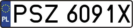 PSZ6091X