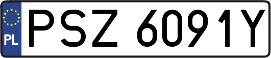 PSZ6091Y