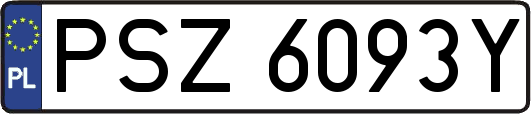PSZ6093Y