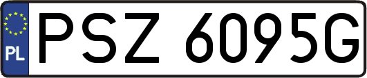PSZ6095G