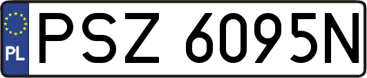 PSZ6095N