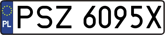 PSZ6095X