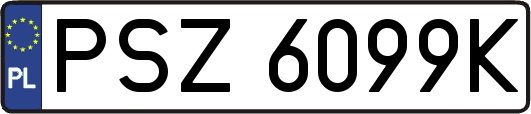 PSZ6099K