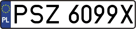PSZ6099X