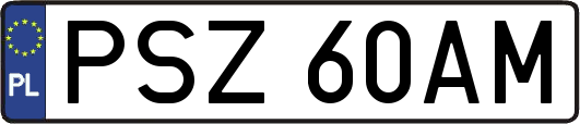 PSZ60AM