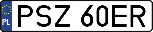 PSZ60ER